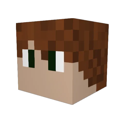 iagocity2005 Minecraft avatar head, 3D render