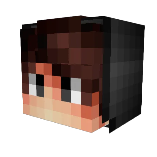 iai1385 Minecraft avatar head, 3D render