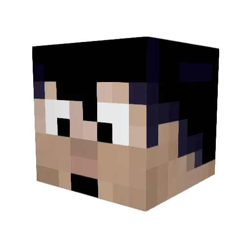 iaintnopunk Minecraft avatar head, 3D render