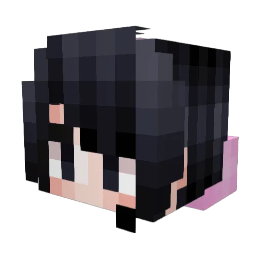 iamPsLr Minecraft avatar head, 3D render