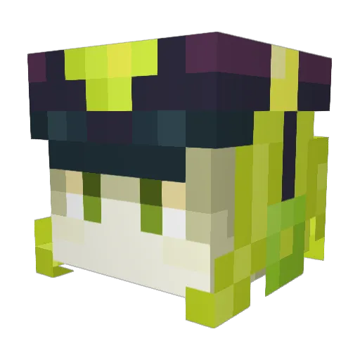 iam_nopang Minecraft avatar head, 3D render