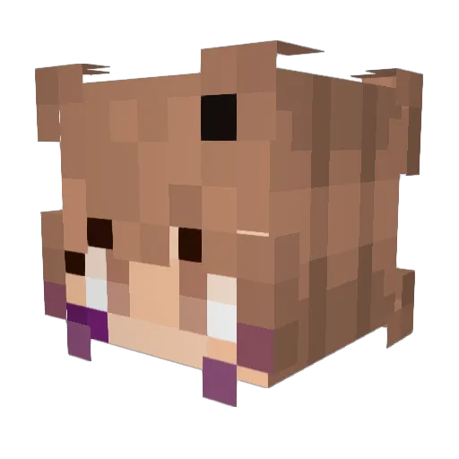 iam_rafyoli Minecraft avatar head, 3D render
