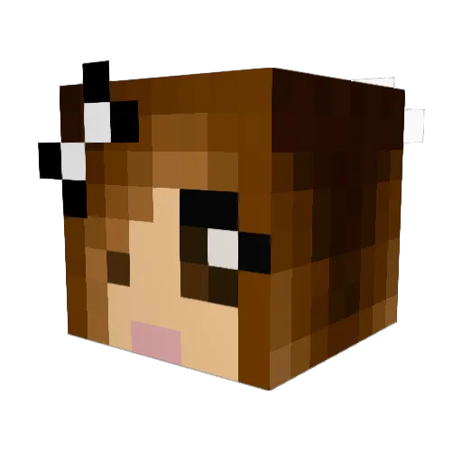 iamactuallyacat Minecraft avatar head, 3D render