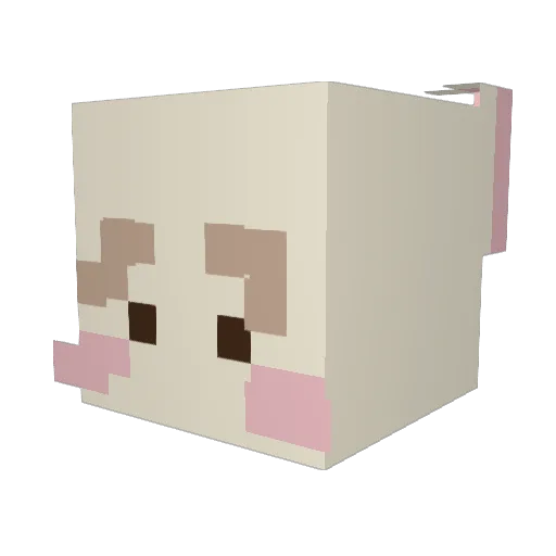 iamaninsect Minecraft avatar head, 3D render