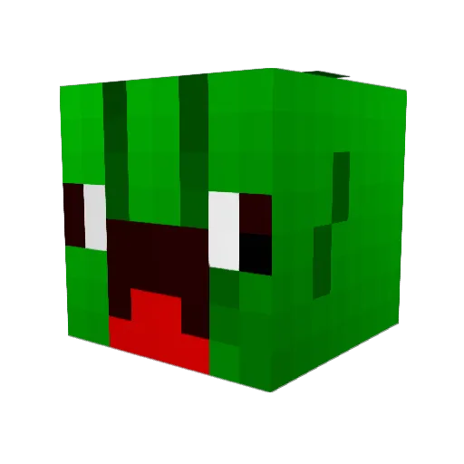iamasome Minecraft avatar head, 3D render