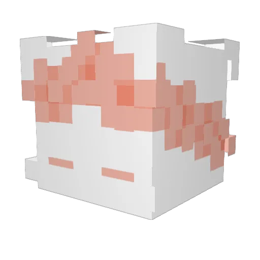 iamaudge Minecraft avatar head, 3D render