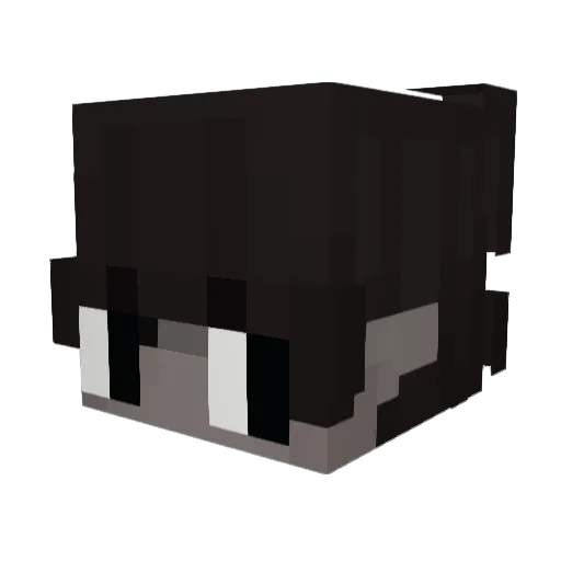iamcurrymuncher Minecraft avatar head, 3D render