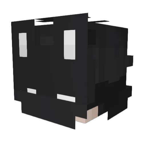 iamempty Minecraft avatar head, 3D render