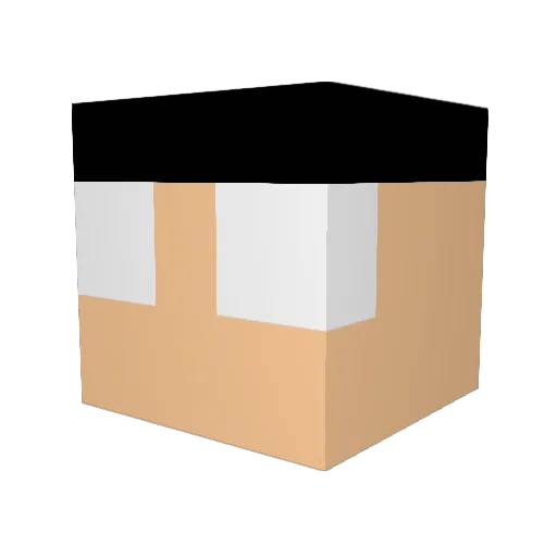 iamholychicken Minecraft avatar head, 3D render