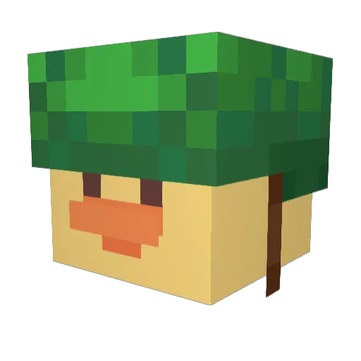 iamliam58 Minecraft avatar head, 3D render