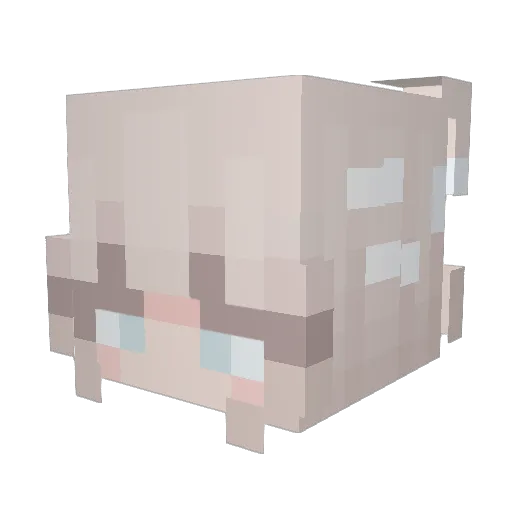iamniieees Minecraft avatar head, 3D render