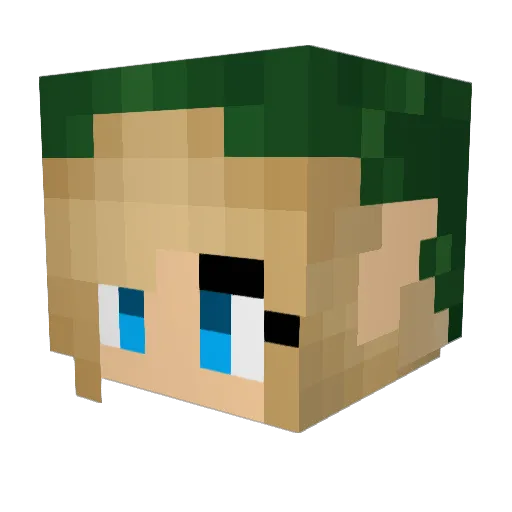 iamnotzelda98 Minecraft avatar head, 3D render