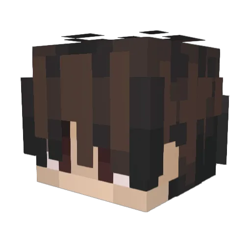 iamsad3508 Minecraft avatar head, 3D render