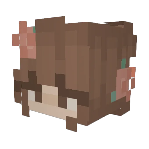 iamvixx Minecraft avatar head, 3D render