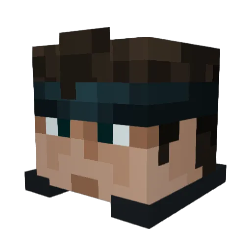 iamwafflebro Minecraft avatar head, 3D render