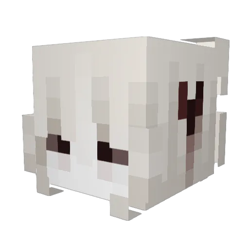 ian0116 Minecraft avatar head, 3D render
