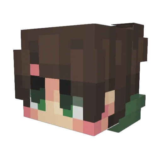 ian2004 Minecraft avatar head, 3D render