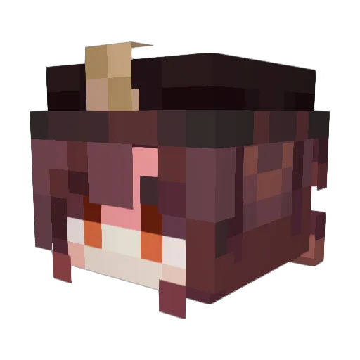 ian6043 Minecraft avatar head, 3D render