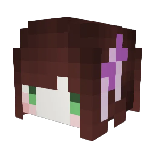 ianian1114 Minecraft avatar head, 3D render