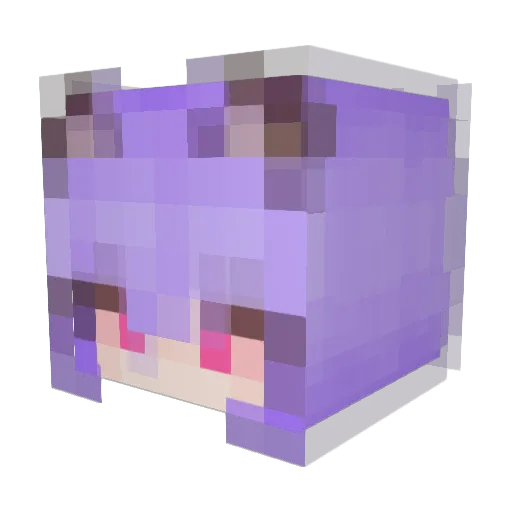 ianinXD Minecraft avatar head, 3D render
