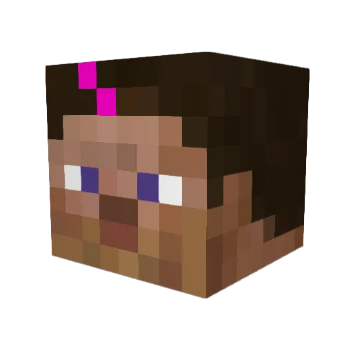 ianitor Minecraft avatar head, 3D render