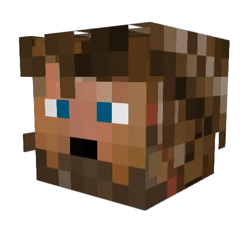 ianjames127 Minecraft avatar head, 3D render