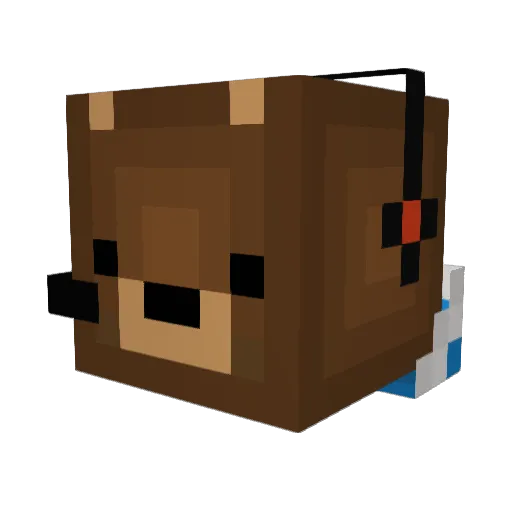 ianrocks06 Minecraft avatar head, 3D render