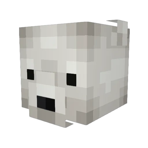 iarepolarbear Minecraft avatar head, 3D render
