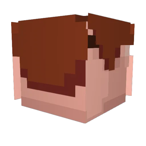 iasy Minecraft avatar head, 3D render