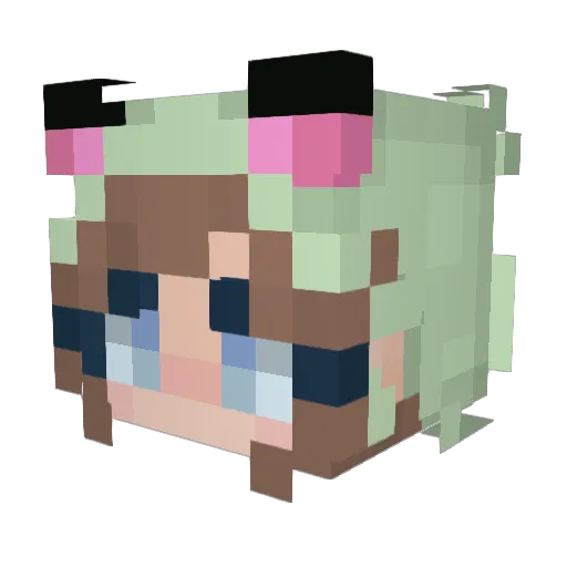 iateyourcat_ Minecraft avatar head, 3D render