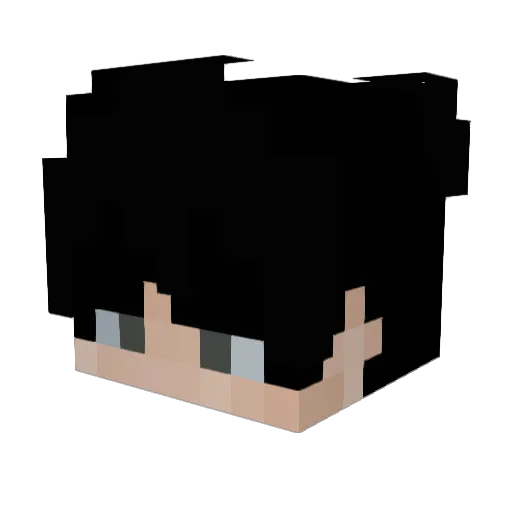 ibidibby3214 Minecraft avatar head, 3D render