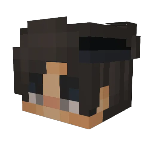 ibimbs2fame4you Minecraft avatar head, 3D render