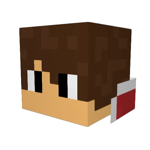 ibims1Marcel Minecraft avatar head, 3D render