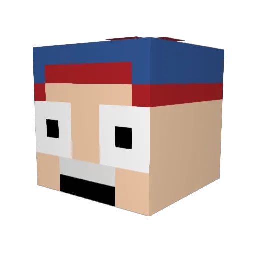 ibissage Minecraft avatar head, 3D render