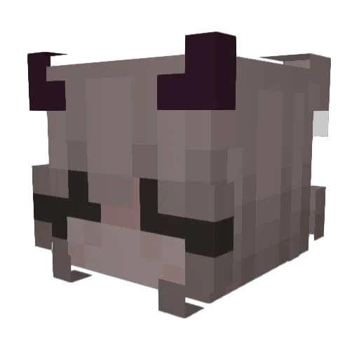 ibkll5 Minecraft avatar head, 3D render