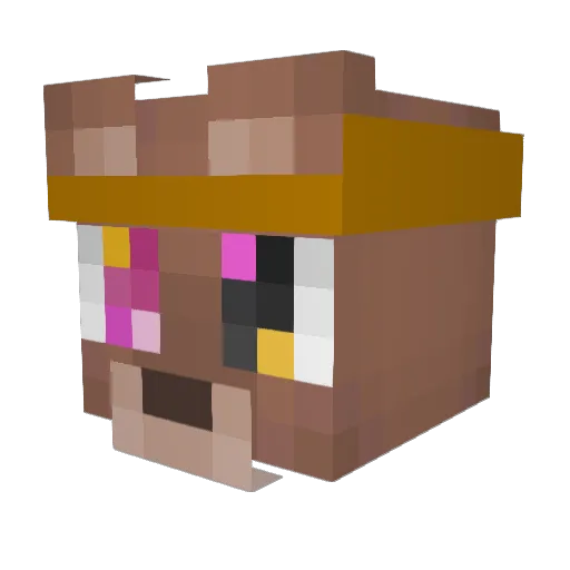 iblamedeathonhax Minecraft avatar head, 3D render