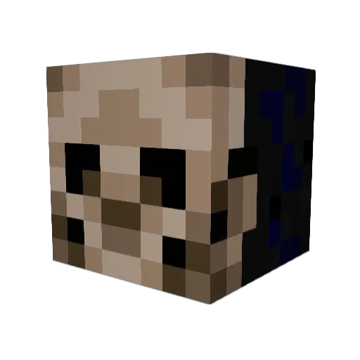 ibuprofen_00 Minecraft avatar head, 3D render