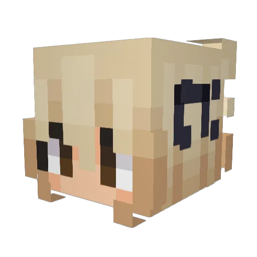 ibuprofeni Minecraft avatar head, 3D render
