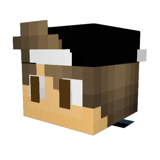 iceTigers_ Minecraft avatar head, 3D render