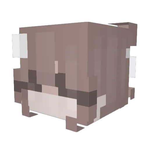 ice_dragonfps Minecraft avatar head, 3D render