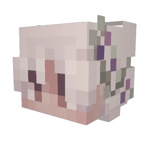 icebagor Minecraft avatar head, 3D render