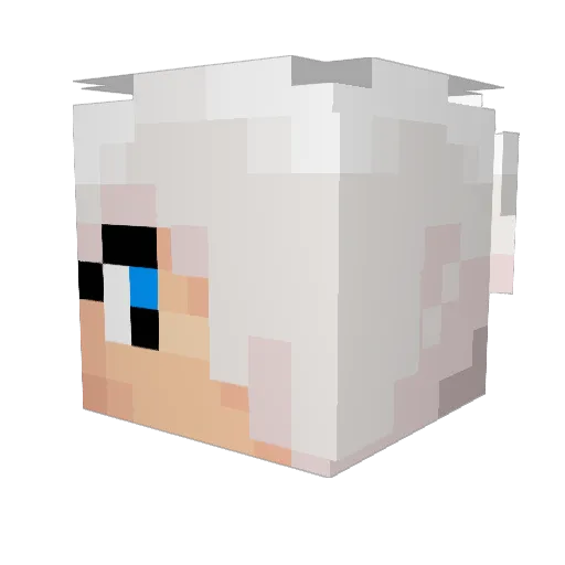 icebreaker123 Minecraft avatar head, 3D render