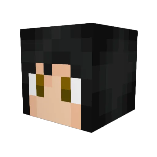 icecoldkiwi Minecraft avatar head, 3D render