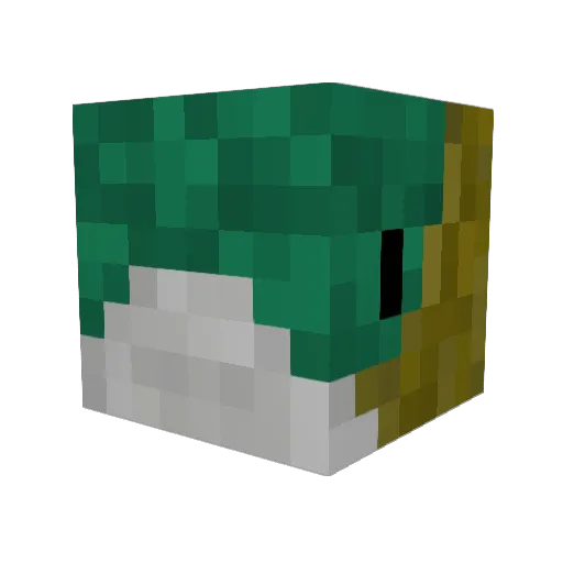 icecoldsalmon Minecraft avatar head, 3D render