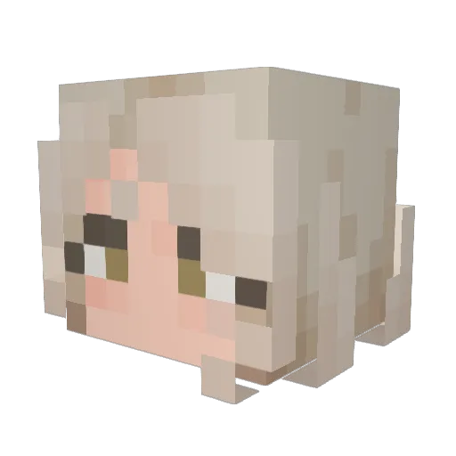 iced_gravy Minecraft avatar head, 3D render