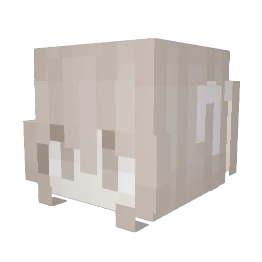 icedfeelings Minecraft avatar head, 3D render