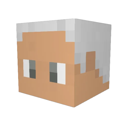 icedive_8810 Minecraft avatar head, 3D render
