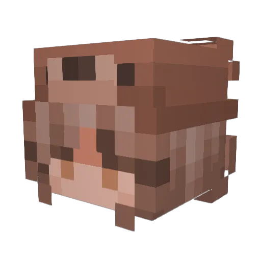 icedmatcha11 Minecraft avatar head, 3D render