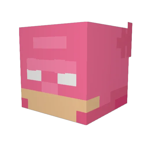 icedpidgeon Minecraft avatar head, 3D render