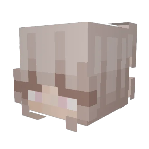 icee_Alice Minecraft avatar head, 3D render